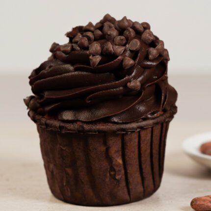 Chocolate Chip Cupcake