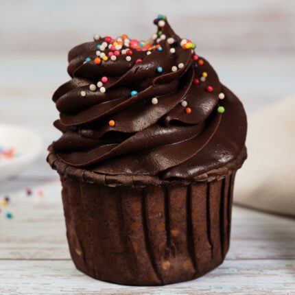 Chocolate Sprinkle Cupcake