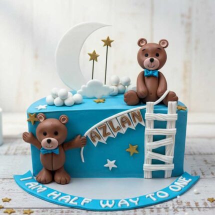 Half Cake Teddy All Way themed cake